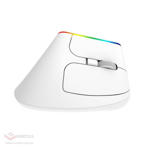 Bezprzewodowa mysz pionowa Delux M618C 2.4G 1600DPI RGB (biała)