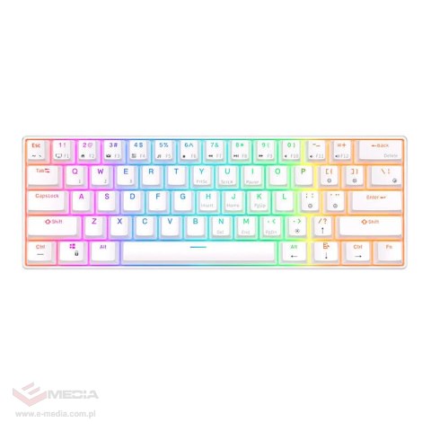 Klawiatura mechaniczna Royal Kludge RK61 RGB, brown switch (biała)