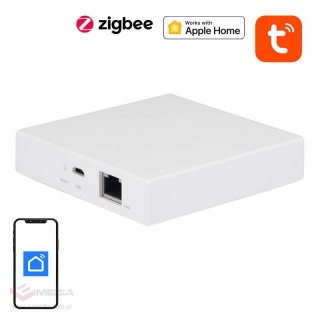 Centrala Bramka Matter NEO NAS-ZW06WM, ZigBee TUYA