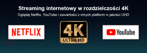 Android SMART TV + DVB-T2/C HEVC Homatics Box R 4K Android 11 WiFi z cert. Google i Netflix