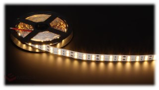 TAŚMA LED LED120A-12V/28.8W-WW/50M 50 m - 3000 K