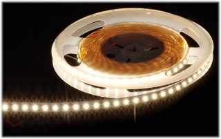 TAŚMA LED LED120-12V/9.6W-NW/5M - 4000 K MW Lighting