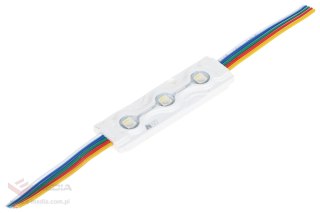 MODUŁ LED MW-MLD-5050-3RGBW MW Lighting